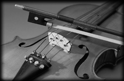 Violin